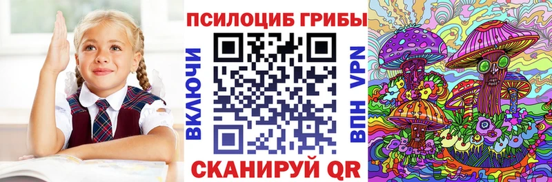 Псилоцибиновые грибы GOLDEN TEACHER Красный Холм